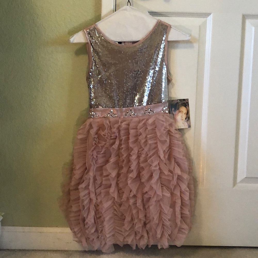 Biscotti Sequin Dress